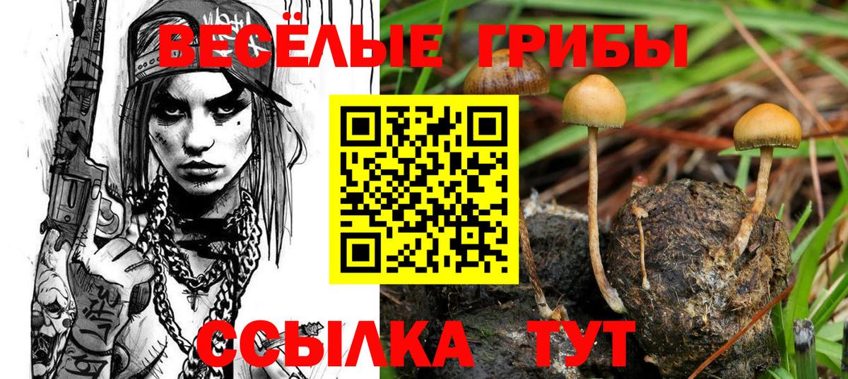 Галлюциногенные грибы ЛСД Сафоново